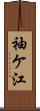 袖ケ江 Scroll
