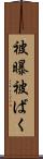 被曝 Scroll