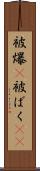 被爆(P) Scroll