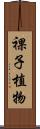 裸子植物 Scroll