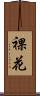 裸花 Scroll