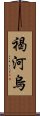 褐河烏 Scroll