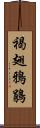 褐翅鴉鵑 Scroll