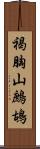 褐胸山鷓鴣 Scroll