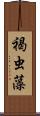 褐虫藻 Scroll