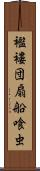 襤褸団扇船喰虫 Scroll