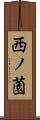 西ノ薗 Scroll