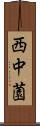 西中薗 Scroll