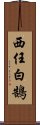 西任白鵠 Scroll