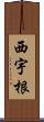 西宇根 Scroll