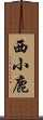 西小鹿 Scroll