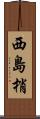 西島梢 Scroll
