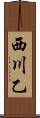 西川乙 Scroll