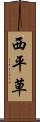西平草 Scroll