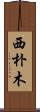 西朴木 Scroll