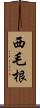 西毛根 Scroll