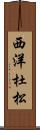 西洋杜松 Scroll