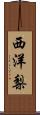 西洋梨 Scroll