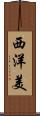 西洋美 Scroll