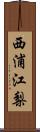 西浦江梨 Scroll