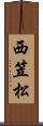 西笠松 Scroll