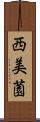 西美薗 Scroll