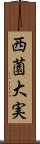 西薗大実 Scroll