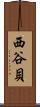 西谷貝 Scroll