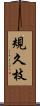 規久枝 Scroll