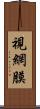 視網膜 Scroll