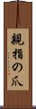 親指の爪 Scroll