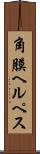 角膜ヘルペス Scroll