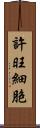 許旺細胞 Scroll