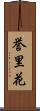 誉里花 Scroll