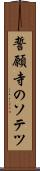 誓願寺のソテツ Scroll