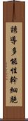 誘導多能性幹細胞 Scroll