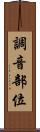 調音部位 Scroll