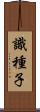 識種子 Scroll
