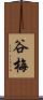 谷梅 Scroll