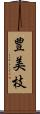 豊美枝 Scroll