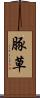 豚草 Scroll