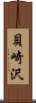 貝崎沢 Scroll