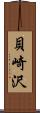 貝崎沢 Scroll