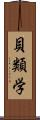 貝類学 Scroll