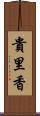 貴里香 Scroll