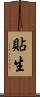 貼生 Scroll