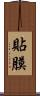 貼膜 Scroll