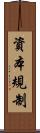 資本規制 Scroll