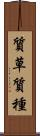 質草 Scroll