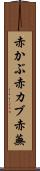 赤かぶ Scroll